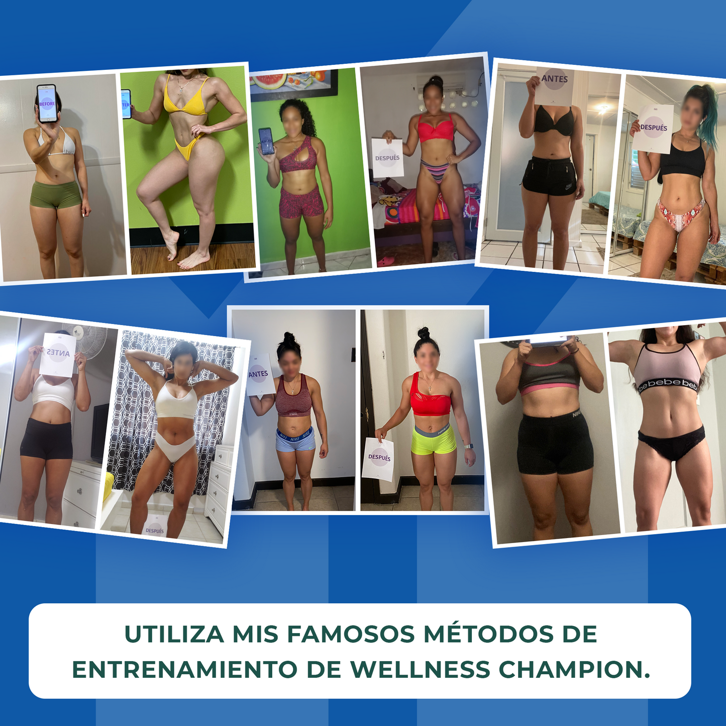 12-WEEK WELLNESS PROGRAM