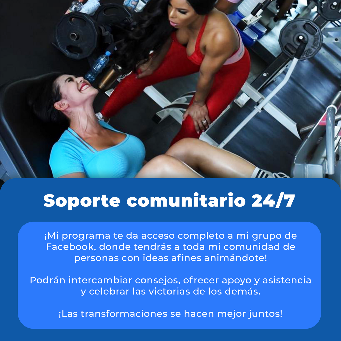 12-WEEK WELLNESS PROGRAM