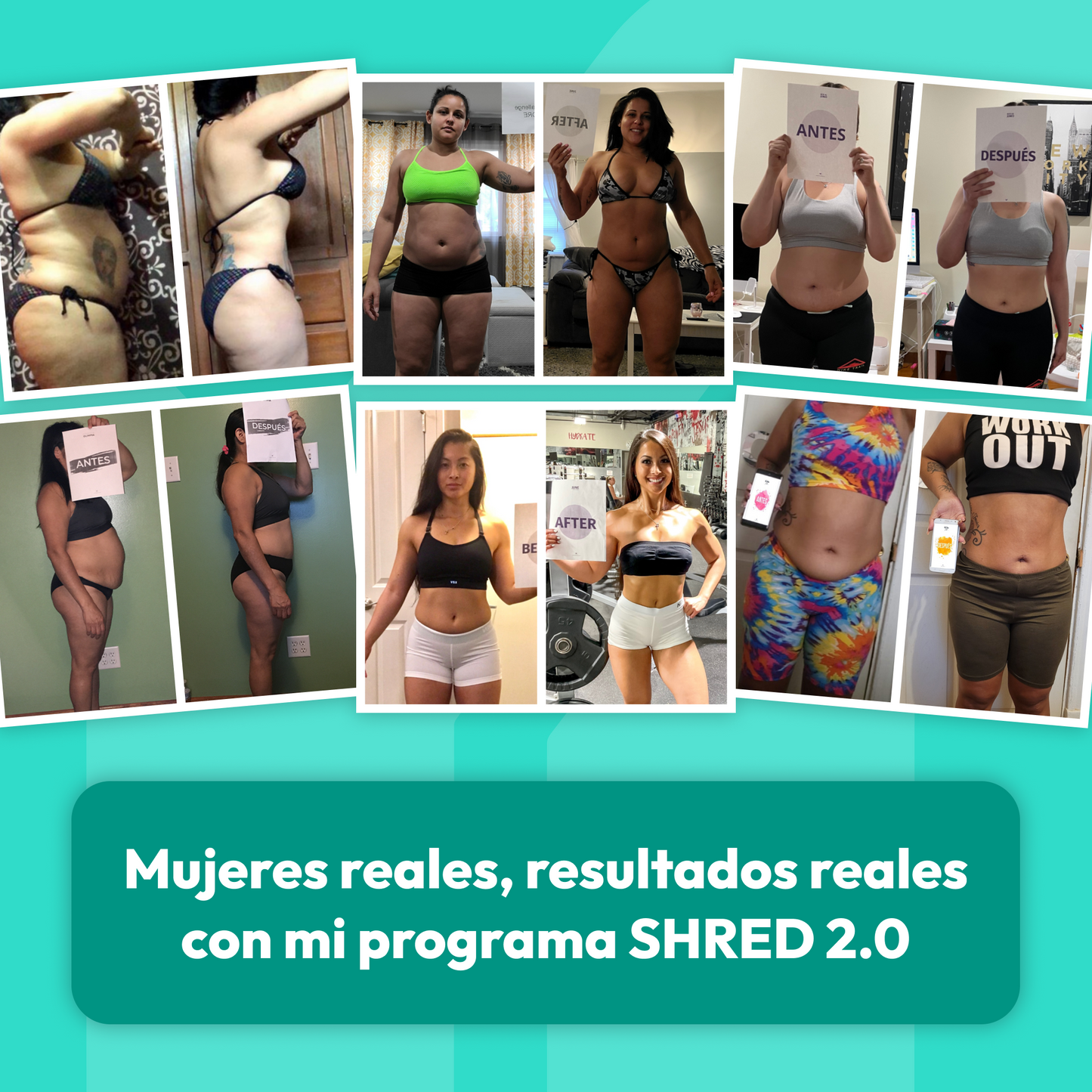 SHRED 2.0